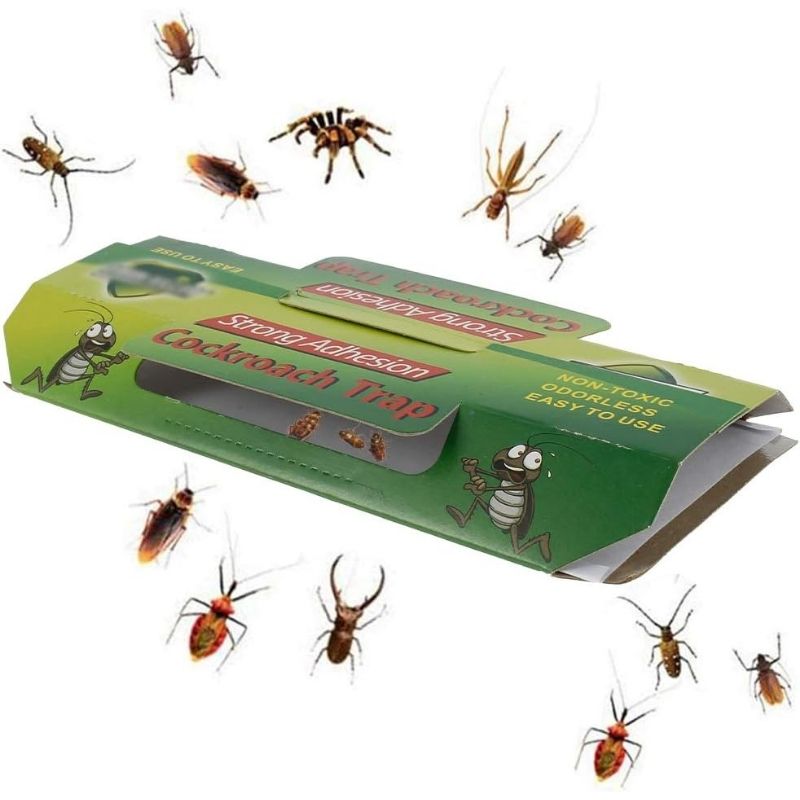 Insect Catcher: Discreet Pest Control Solution