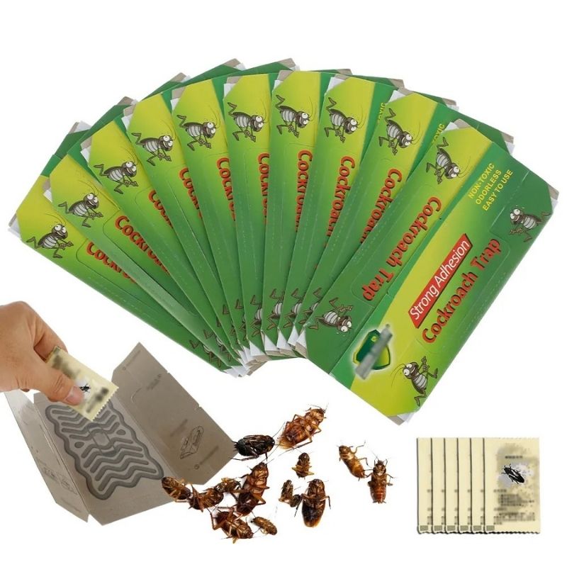 Insect Catcher: Discreet Pest Control Solution