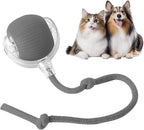 interactive pet toy ball