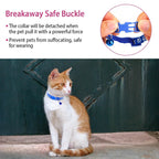 Ca2-Pack: Adjustable Kitten Collar with Bell Name Tag
