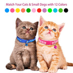 Ca2-Pack: Adjustable Kitten Collar with Bell Name Tag