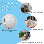 Cat Teaser Ball Automatic Self Rotating Interactive Cat Motion Exercise Toy