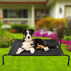 Cats and Dogs Elevated Pet Bed