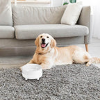 Ceramic Heated Pet Water Bowl Food Warmer