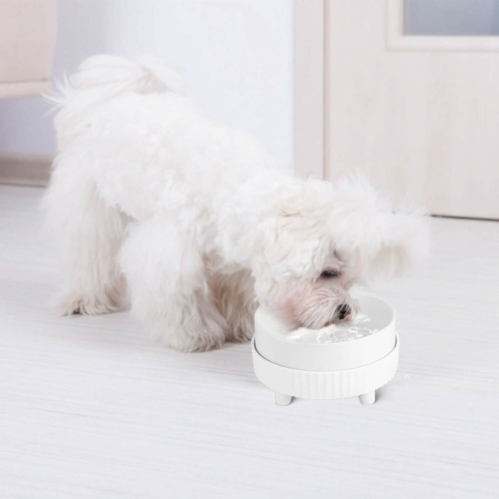 Ceramic Heated Pet Water Bowl Food Warmer