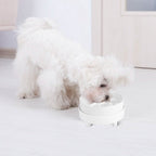 Ceramic Heated Pet Water Bowl Food Warmer