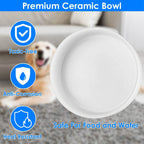 Ceramic Heated Pet Water Bowl Food Warmer