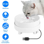 Ceramic Heated Pet Water Bowl Food Warmer