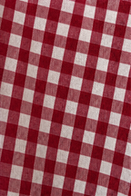 Checked Ruffle Collar Blouse
