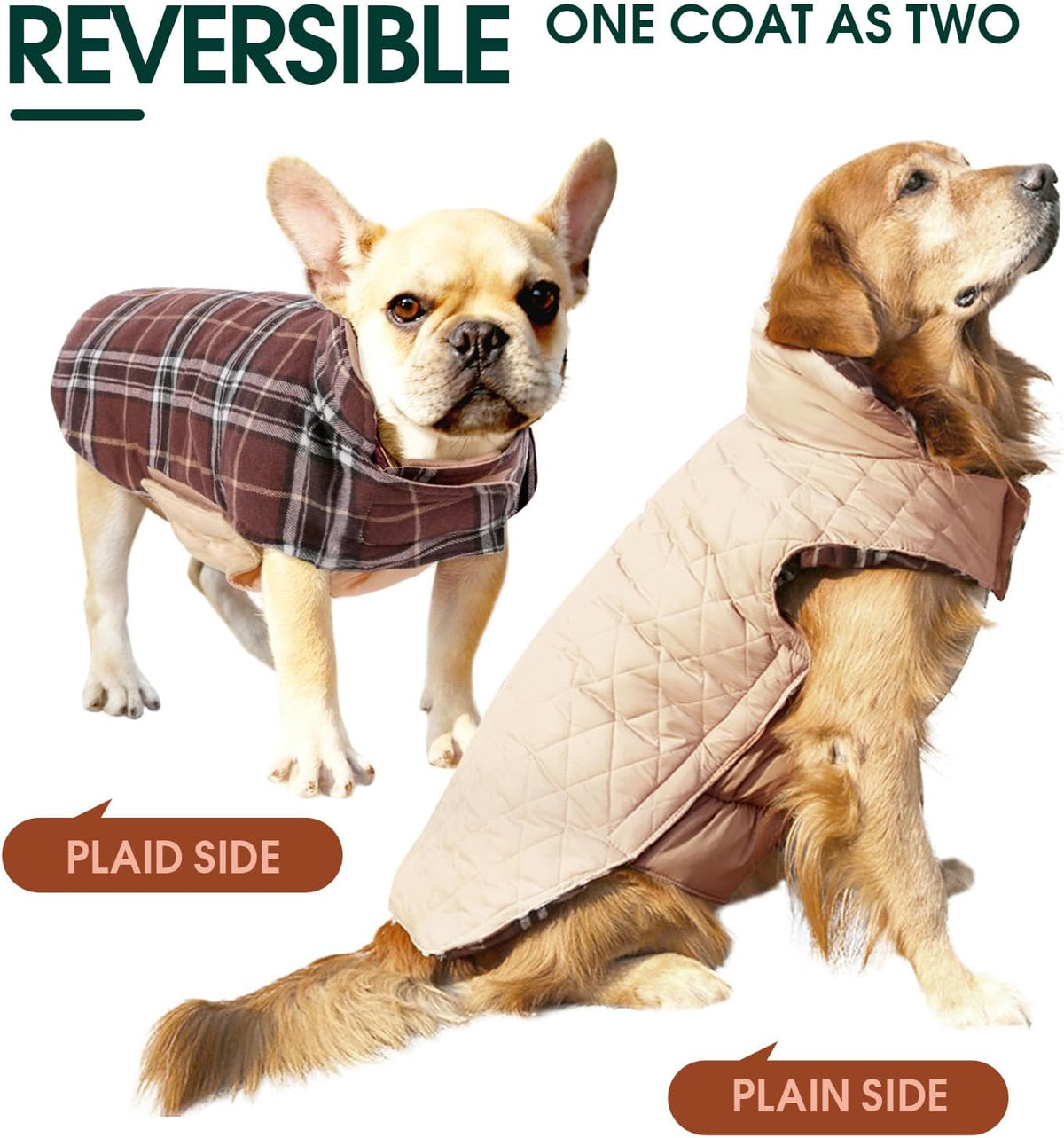 Cozy Waterproof Dog Jacket – Winter Coat in British Style