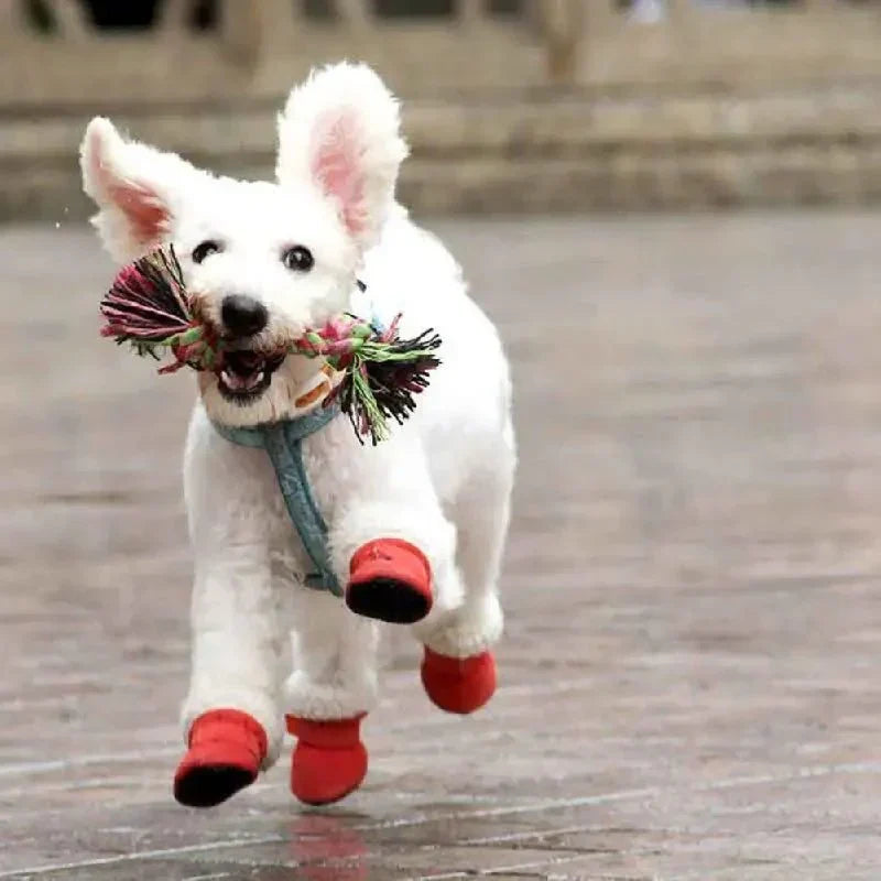 CozyPaws • Dog Waterproof Boots