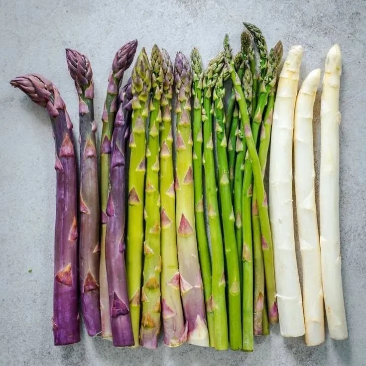 Perennial Asparagus Seeds – Tender Green Garden Vegetable Seeds for Home Planting