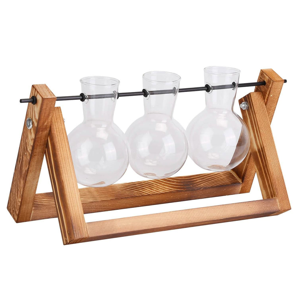 Desktop Glass Bulb Planter