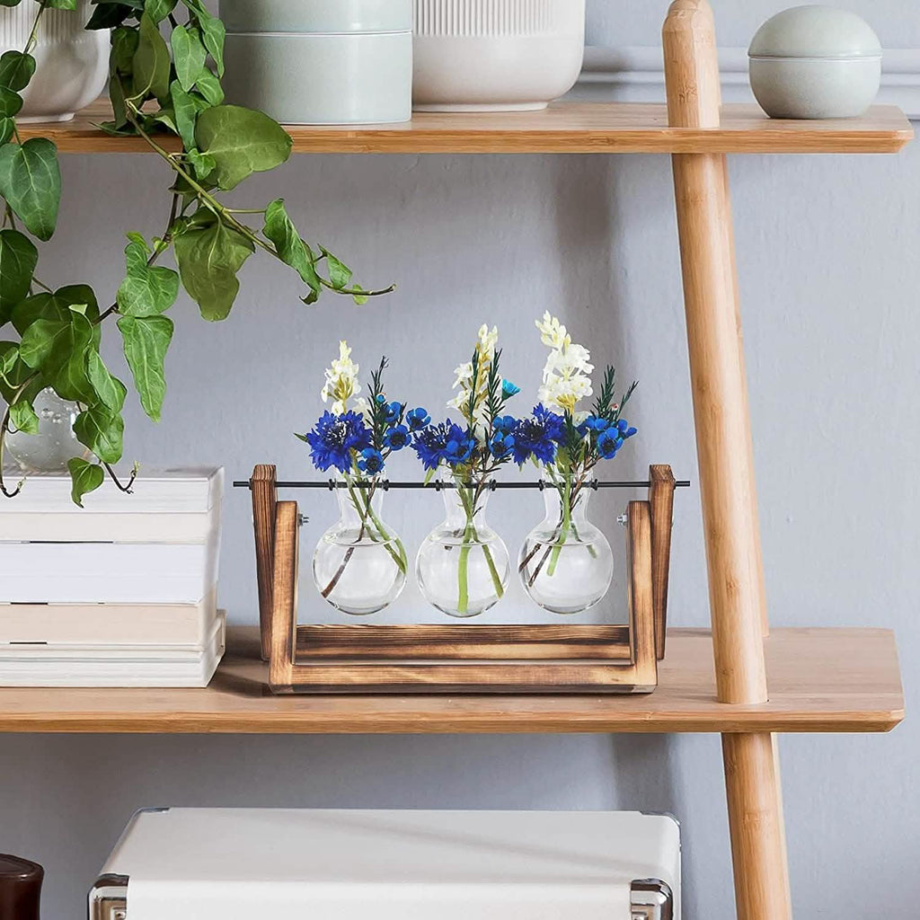 Desktop Glass Bulb Planter