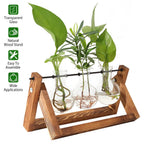 Desktop Glass Bulb Planter
