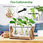 Desktop Glass Bulb Planter