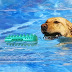 Dog Chew Toys Dog Toothbrush Stick