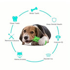 Dog Chew Toys Dog Toothbrush Stick