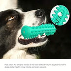 Dog Chew Toys Dog Toothbrush Stick