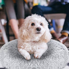 Dog Cozy Nest Sofa Bed Cushion