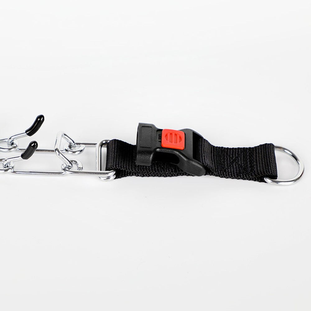 Dog Training Collar with Comfort Tip
