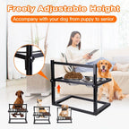Dog Raised Bowls with Adjustable Height Stainless Steel