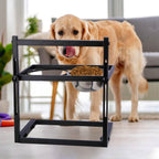 Dog Raised Bowls with Adjustable Height Stainless Steel