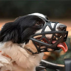 DOGORA – Gentle Dog Muzzle for Safe Everyday Situations