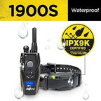Dogtra 1900S Remote Training E-Collar (Refurbished)