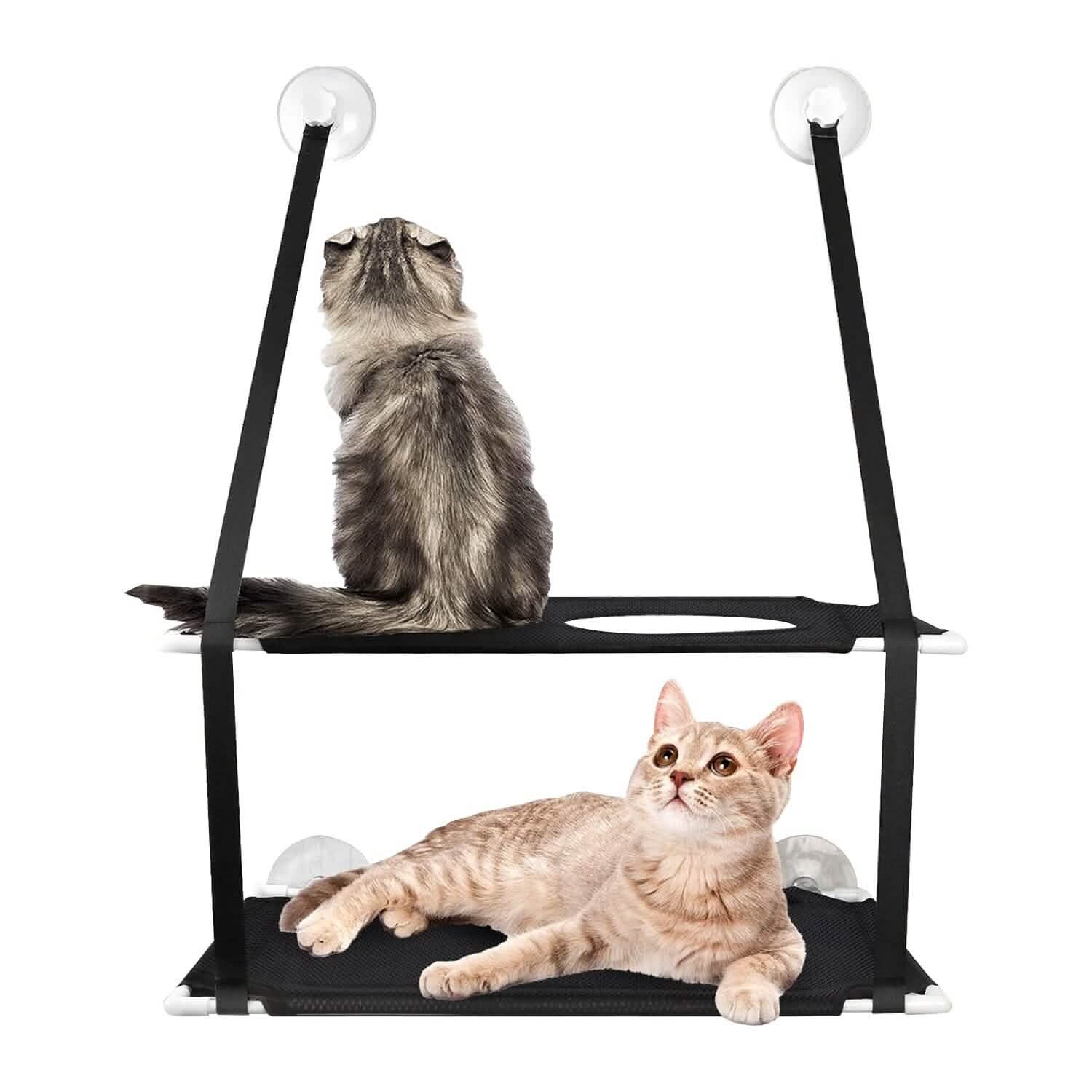 Double Layer Perch Bed Powerful Suction Indoor Window Hammock for Cat