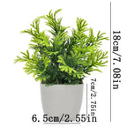 Artificial Plants With Pots