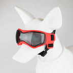 Dog Goggles