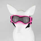 Dog Goggles