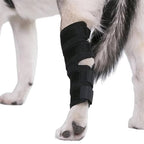 Orthopedic Braces For Dogs