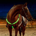 LED Breast Collar Horse