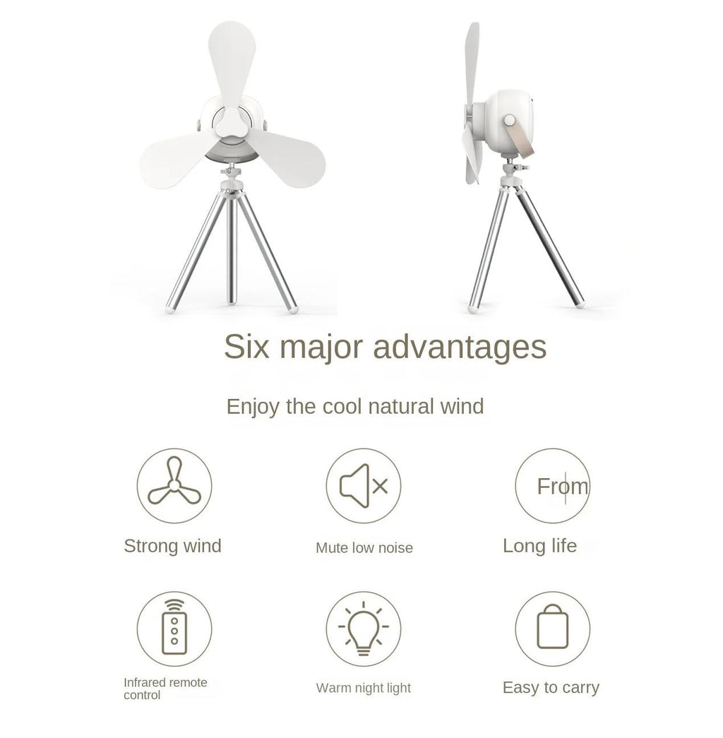 Wireless Celling Fan