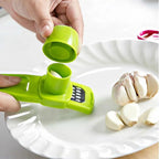 Manual Mini Garlic Press and Crusher