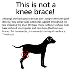 Orthopedic Braces For Dogs