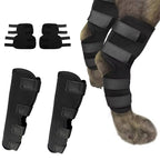 Orthopedic Braces For Dogs