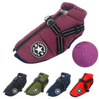 DryPaw • Waterproof Dog Coat