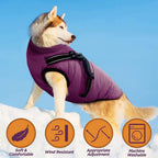 DryPaw • Waterproof Dog Coat