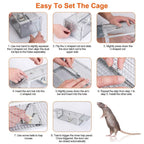 Dual Door Rat Trap Cage Humane with 2 Detachable U Shape Rod