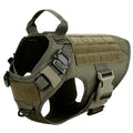 Durable Set for Active Dogs