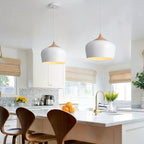 Modern Scandinavian Pendant Light | Iron & Wood Grain Design
