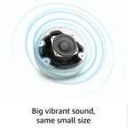 Echo Dot 5th Gen 2022 with Alexa  (Refurbished)