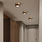EMBERLED – Energy-saving Walnut Light Solution