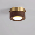 EMBERLED – Energy-saving Walnut Light Solution