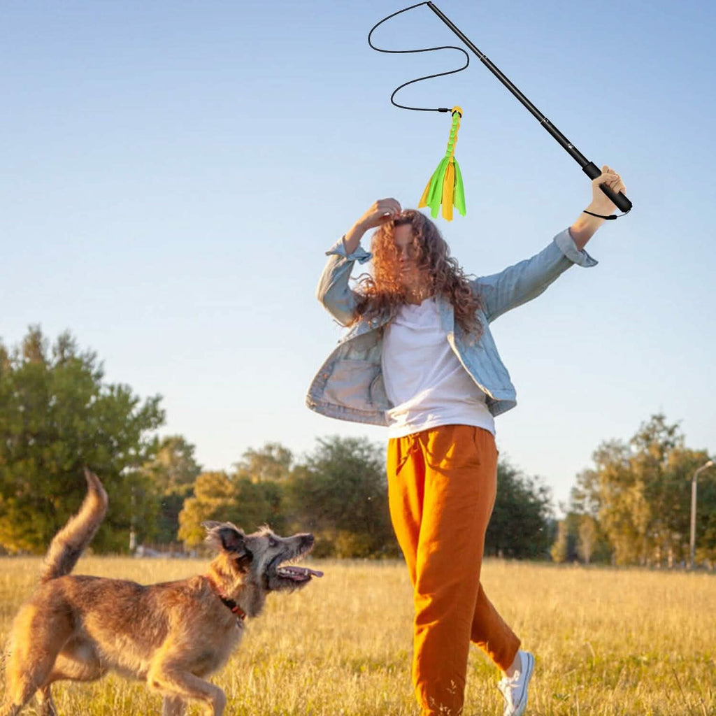 Extendable Dog Flirt Pole with 2 Replaceable Interactive Tail Toys