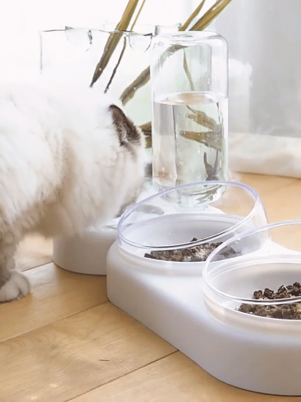 3 IN 1 Cat Bowl