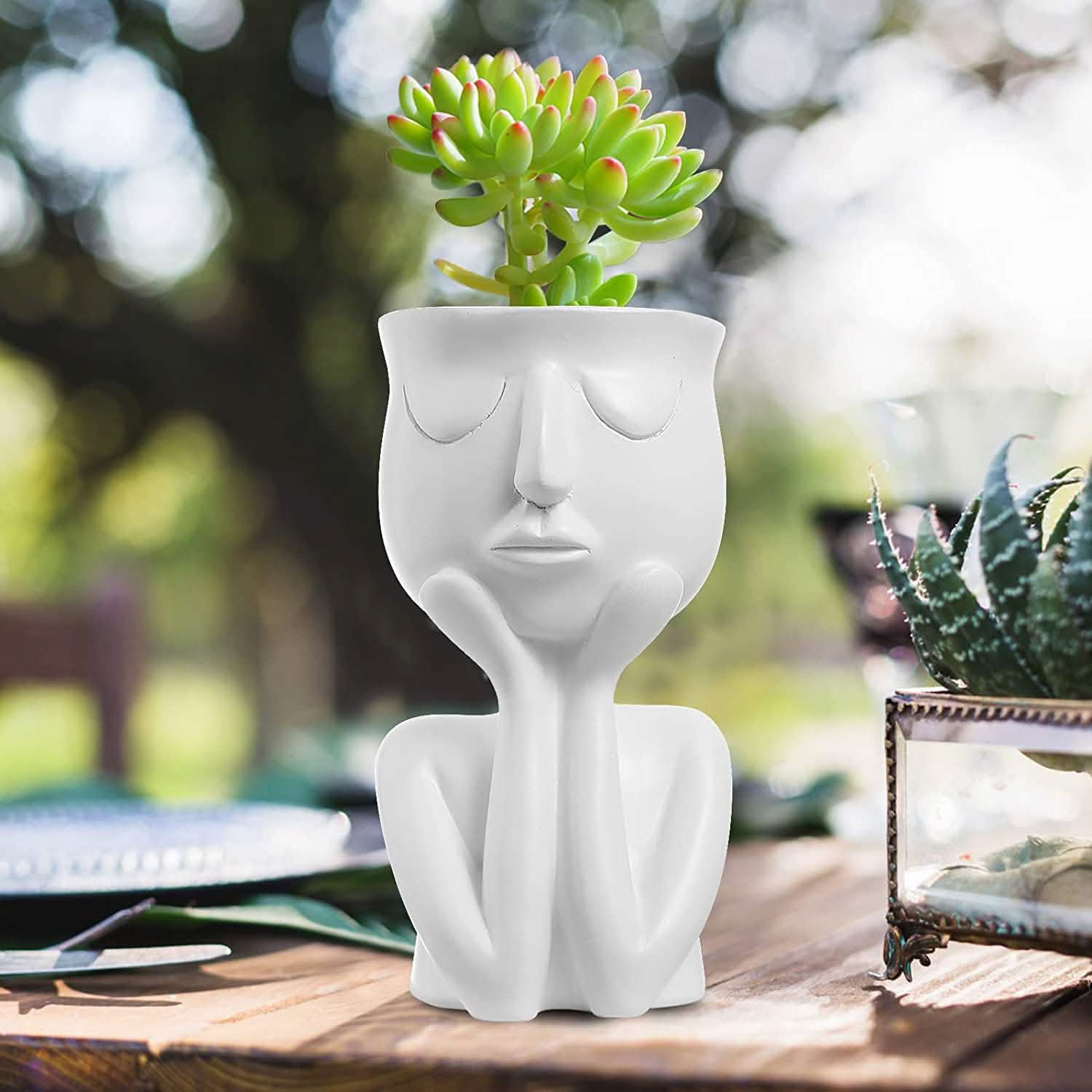 Face Flower Pot Head Planter